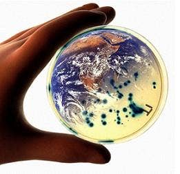 Hand holding a transparent cap with cells in side