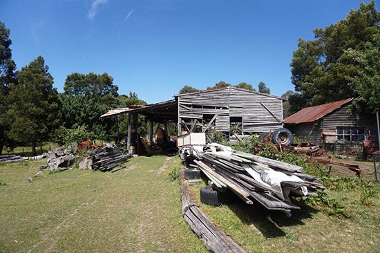 Two wooden sheds surrounded by trees with stacks of wood on the grass nearby.