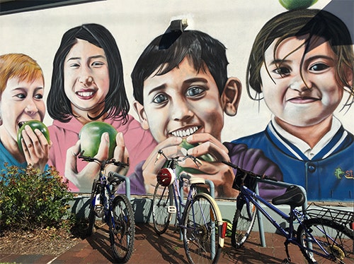 Boarder_and_Diversity