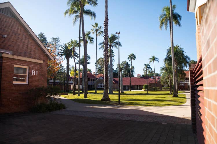 Hawkesbury Campus - Autumn