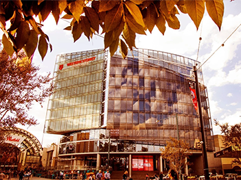 Contemporary curved glass building with large windows, trees and autumn foliage framing the scene.