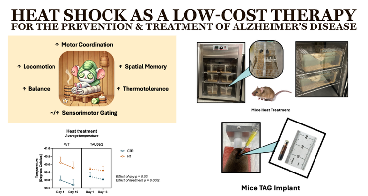 Hennessy - Heat Shock Treatment