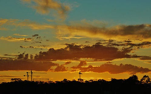 The EuycFACE experiment's rings and cranes at sunset after a hot day