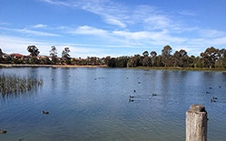 Australia India Water Centre Image