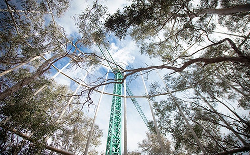 EucFace Experiment Hawkesbury