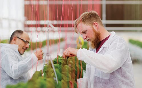 Western Sydney University ceommemorates its 35th anniversary