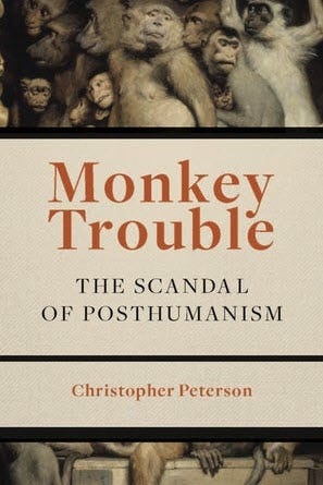 Monkey Trouble Image