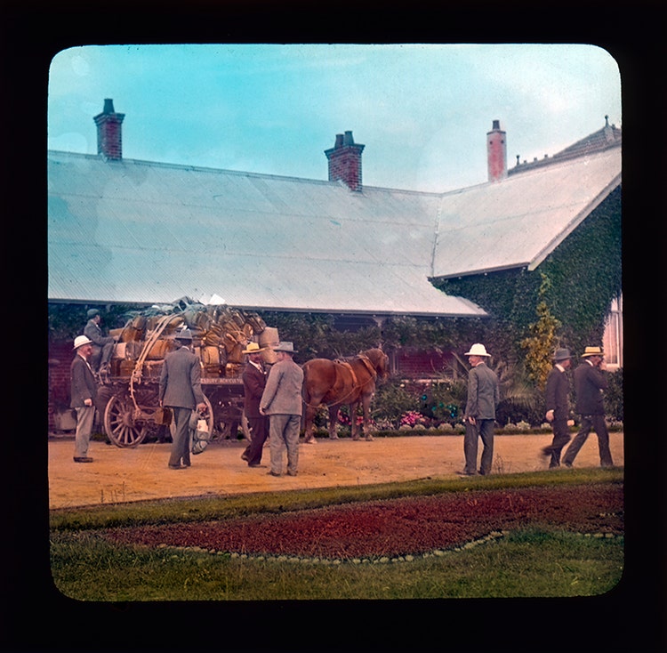 Horse and cart full of luggage outside the Main Administration Building Hawkesbury Agricultural College (HAC)