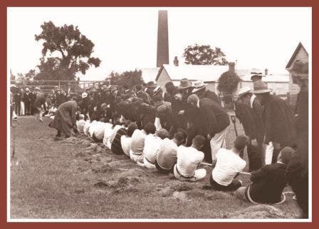 Tug of War teams in action c.1914