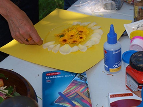 Building local resilience, Transition parramatta (3).jpg