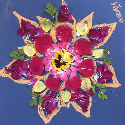 Building local resilience, Transition parramatta (4).jpg