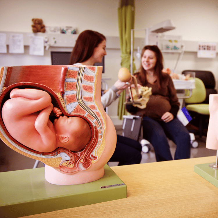 Hospital Teaching Ward