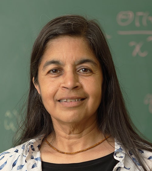Photo of Nalini Joshi (Sydney University) is a professor in the School of Mathematics and Statistics at the University of Sydney