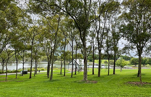 Bicentennial Park