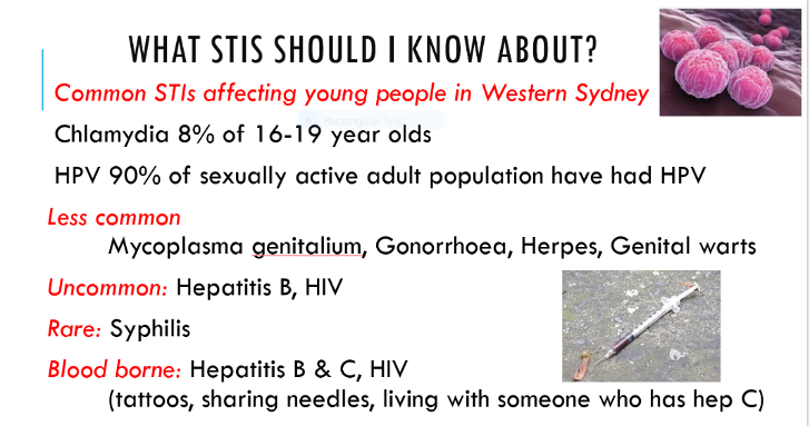 High School Research