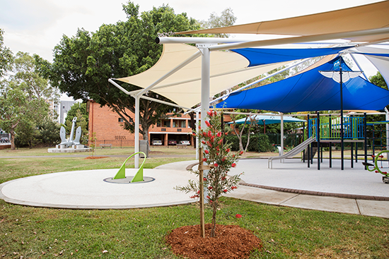 Urban Living Features and Society