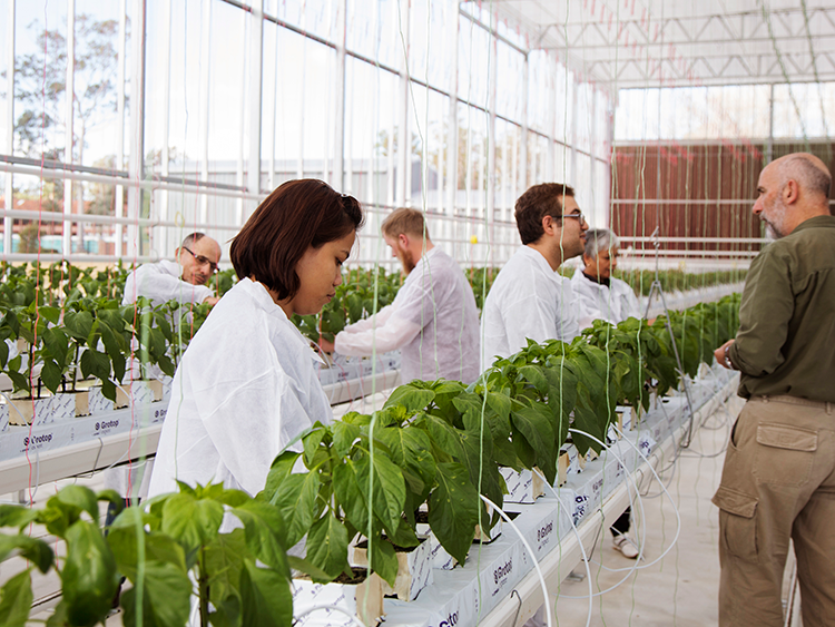 Environment & Sustainability